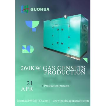 260KW Natural Gas Generator Set,Biogas,CNG