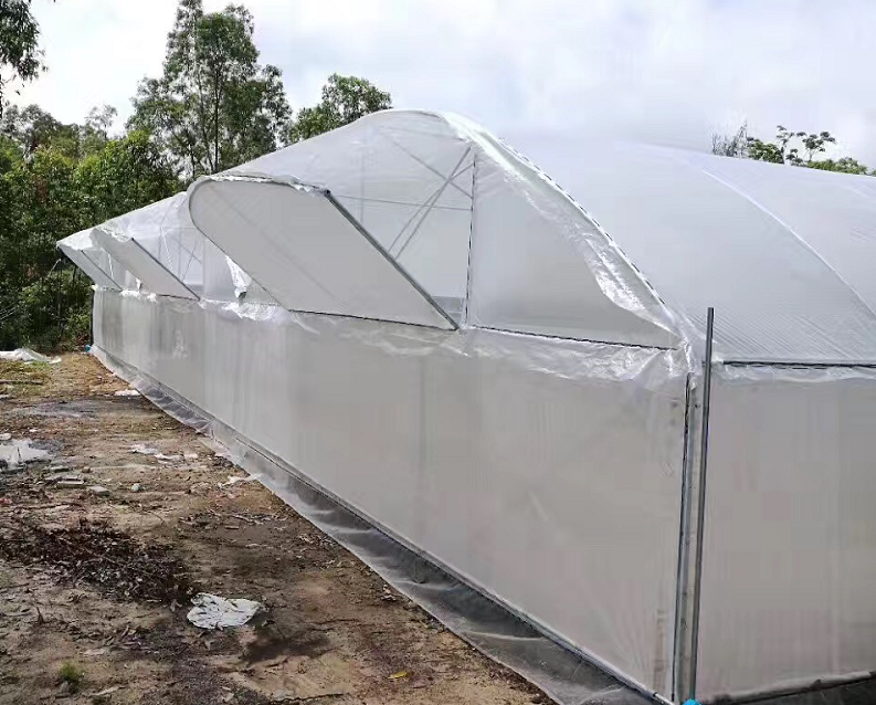 Transparent Woven Film For Greenhouse