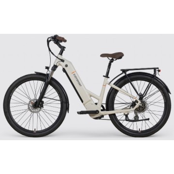 Customized Fixed Gear Electric Bike