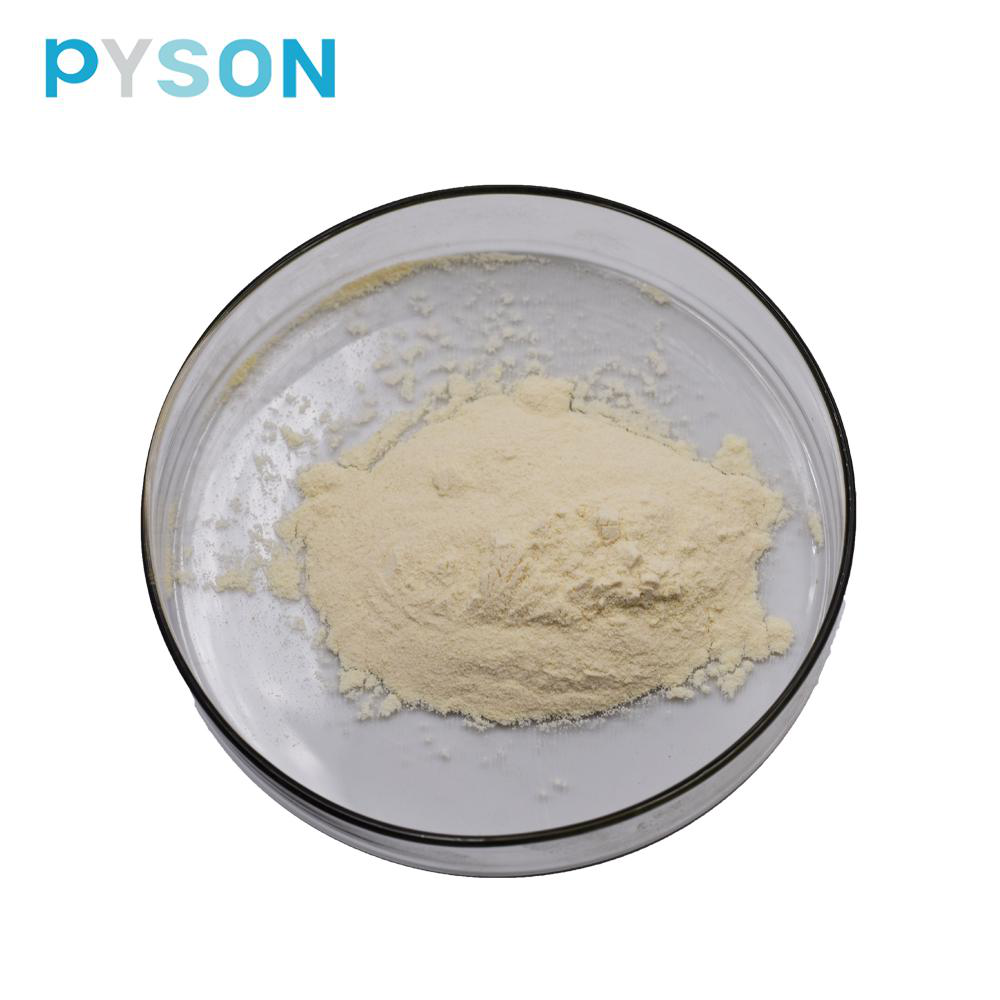 Ginger Extract POWDER