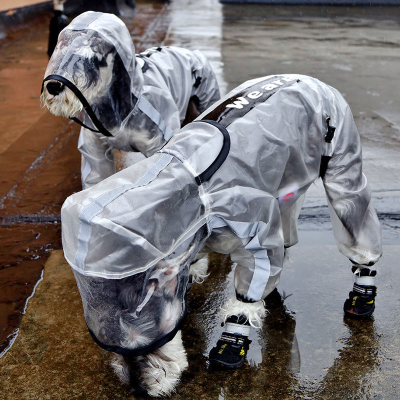 Dog Raincoat Clear