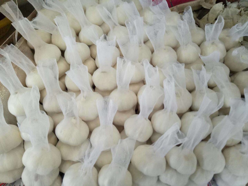 Pure white garlic 6.0 cm-10kg carton