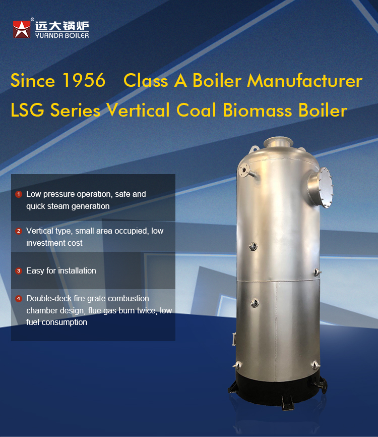LSG 500 kg Vertical Industrial Coal Steam Boiler