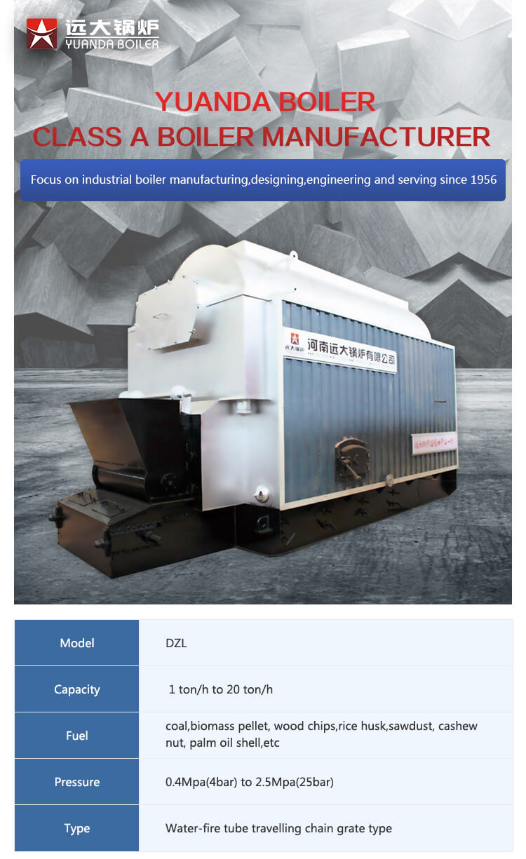 Industrial Biomass Steam Output Boiler in Textile Industry