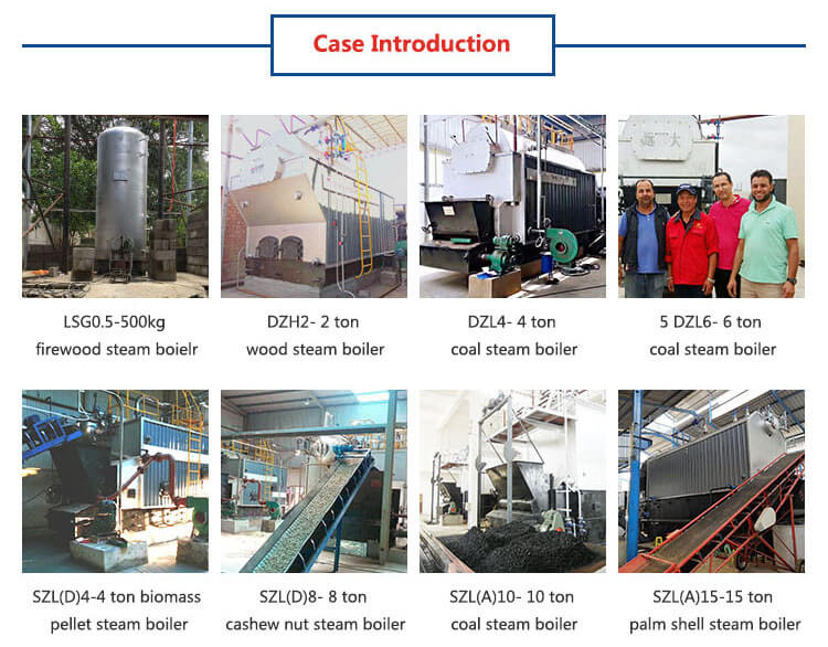 4000 kg/h Coal Fired Boiler for Beverage Production