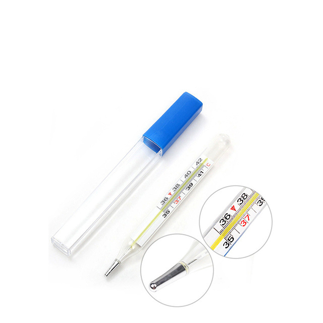 Clinical Thermometer Mercury Glass